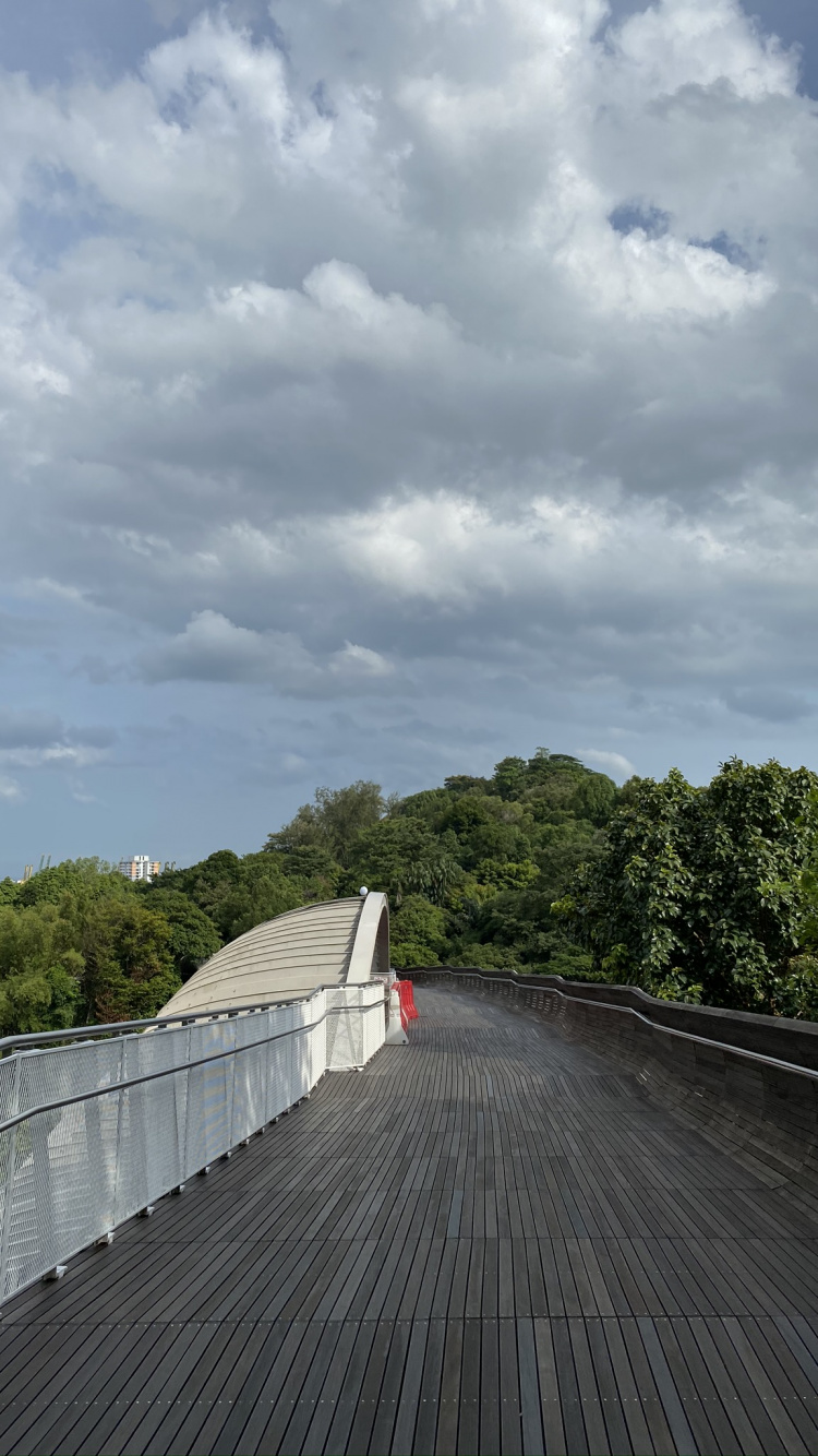 Cloud, Road, Fahrbahn, Tageszeit, Holz. Wallpaper in 750x1334 Resolution