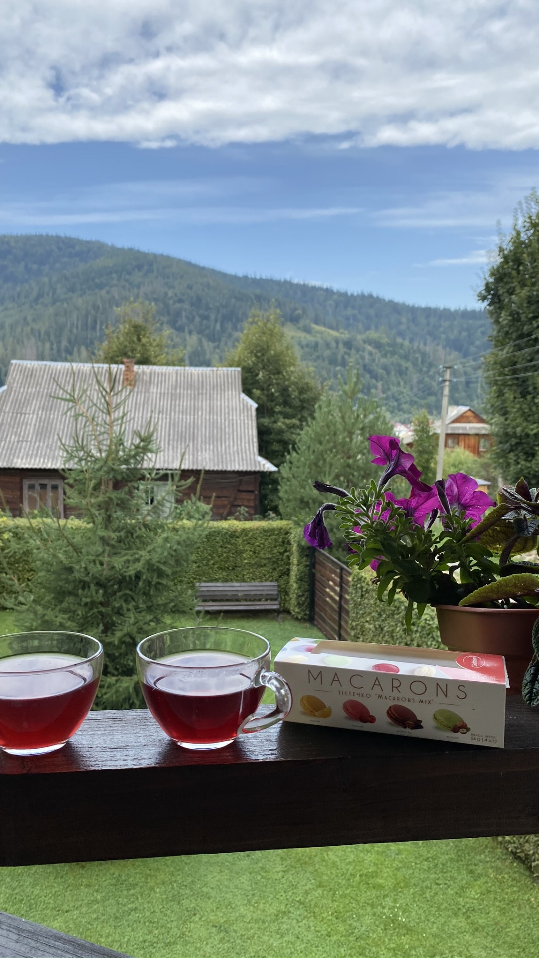 House, Real Estate, Flowerpot, Tree, Drink. Wallpaper in 1080x1920 Resolution