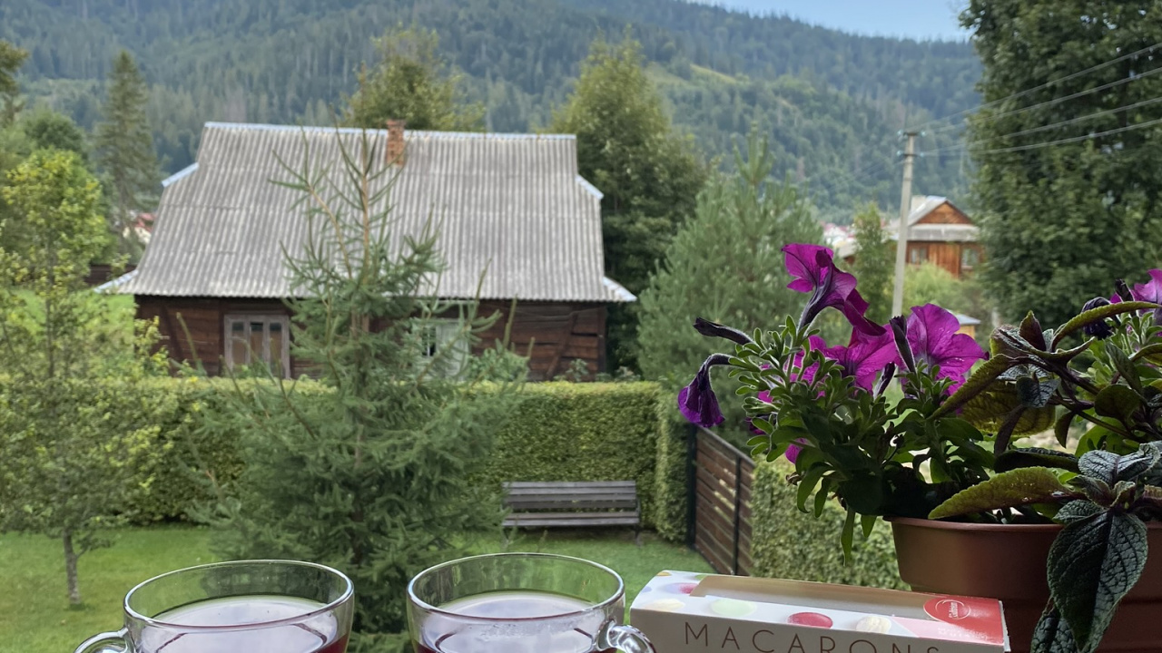 House, Real Estate, Flowerpot, Tree, Drink. Wallpaper in 1280x720 Resolution