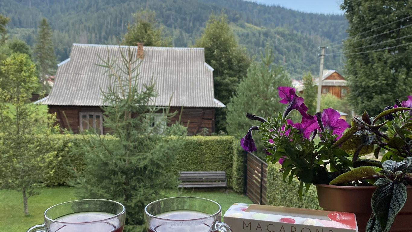 Immobilier, Flowerpot, Liquid, Mesure, Verrerie. Wallpaper in 1366x768 Resolution