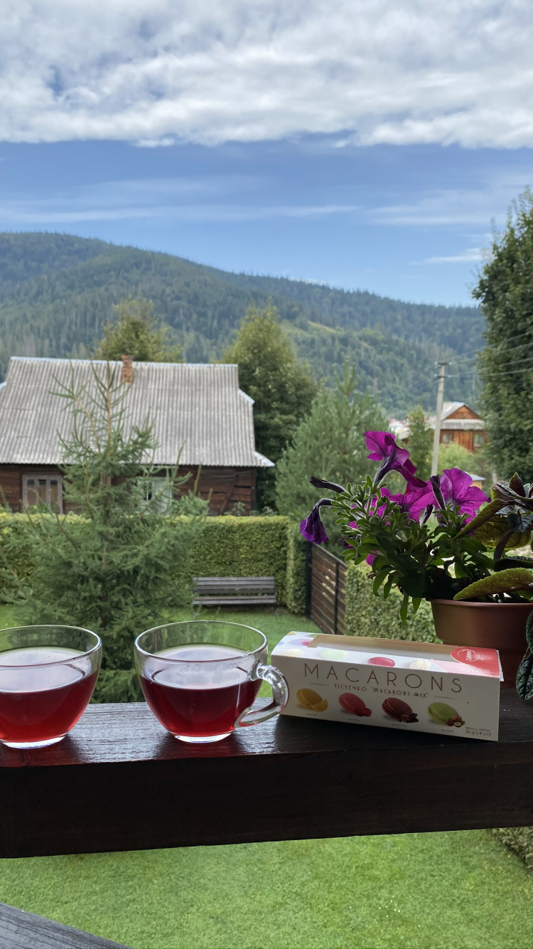 Inmueble, Maceta, Bandejas de Servir, Cristalería, Cumulus. Wallpaper in 750x1334 Resolution