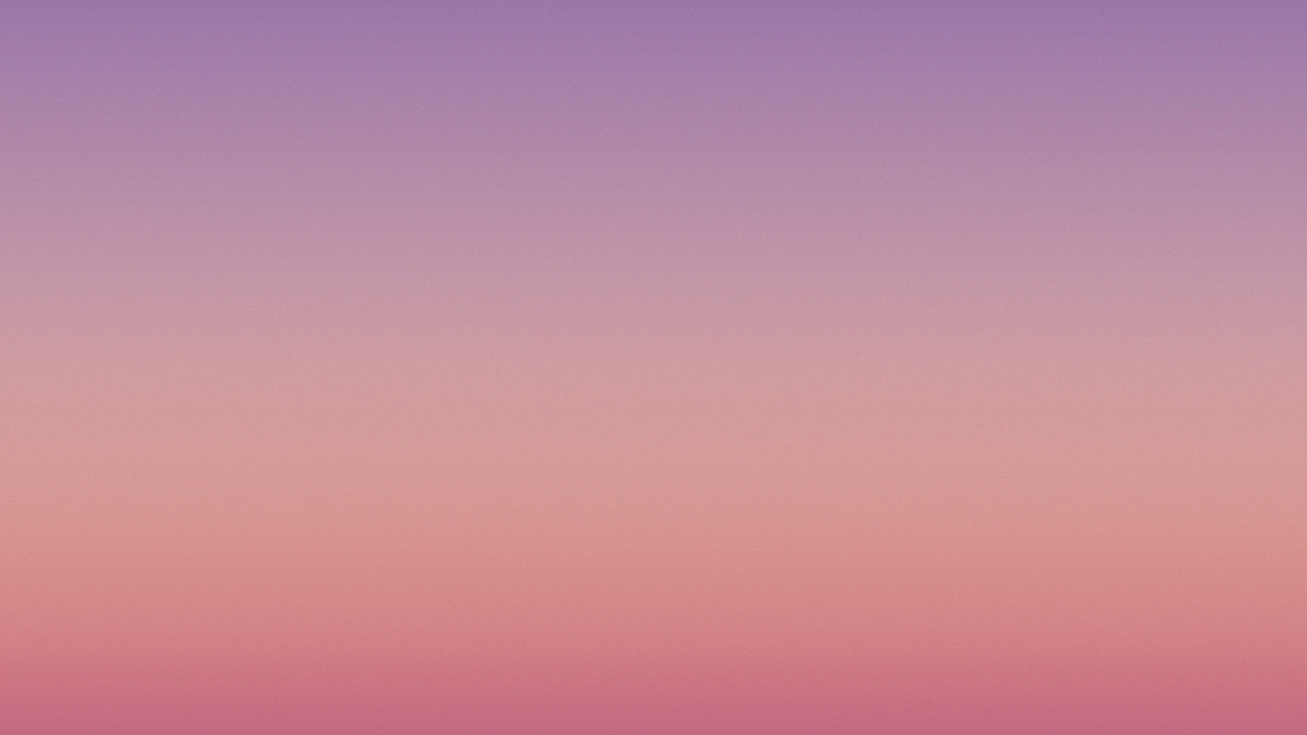 Samsung Galaxy, Samsung, Samsung Galaxy Tab 4, Farbigkeit, Purpur. Wallpaper in 2560x1440 Resolution