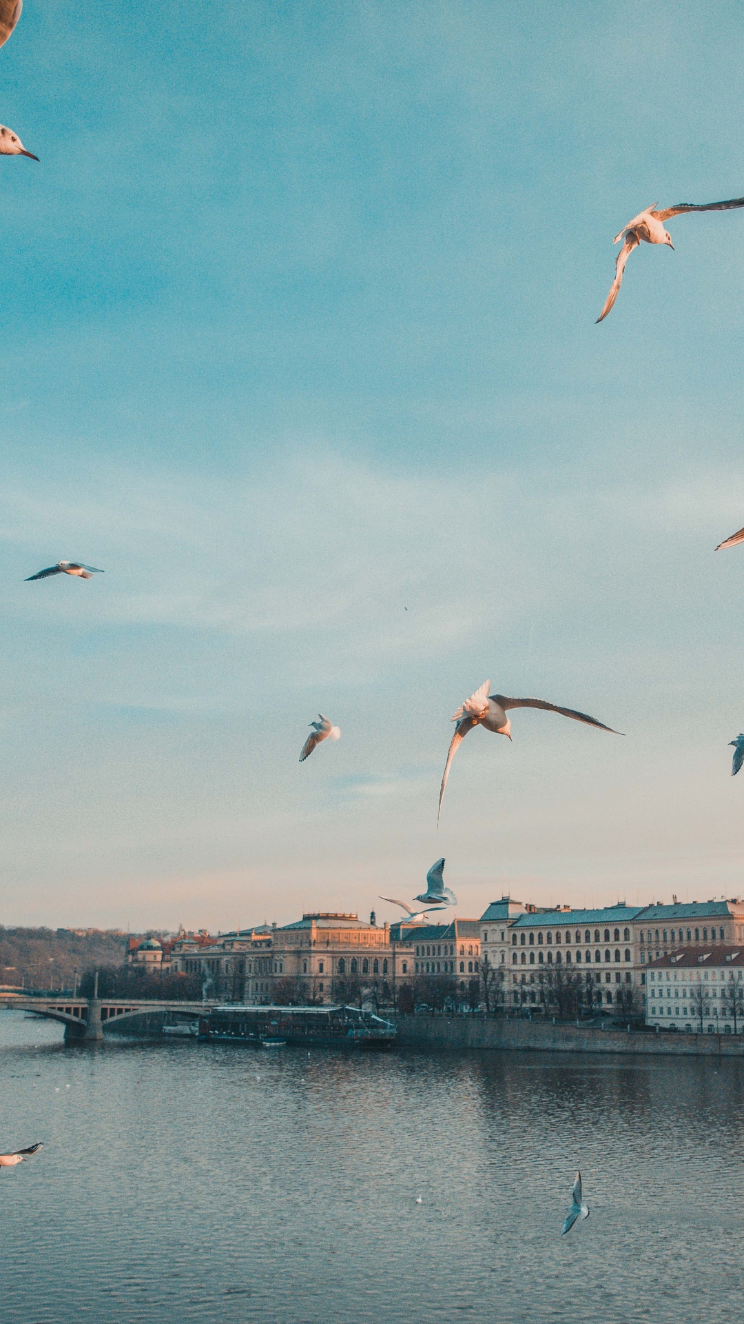 Charles Bridge, Prague Astronomical Clock, Four Seasons Hotel Prague, Prague Castle, Bridge. Wallpaper in 1080x1920 Resolution