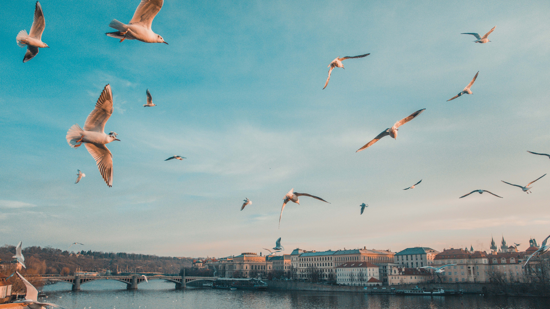 Charles Bridge, Prague Astronomical Clock, Four Seasons Hotel Prague, Prague Castle, Bridge. Wallpaper in 1920x1080 Resolution
