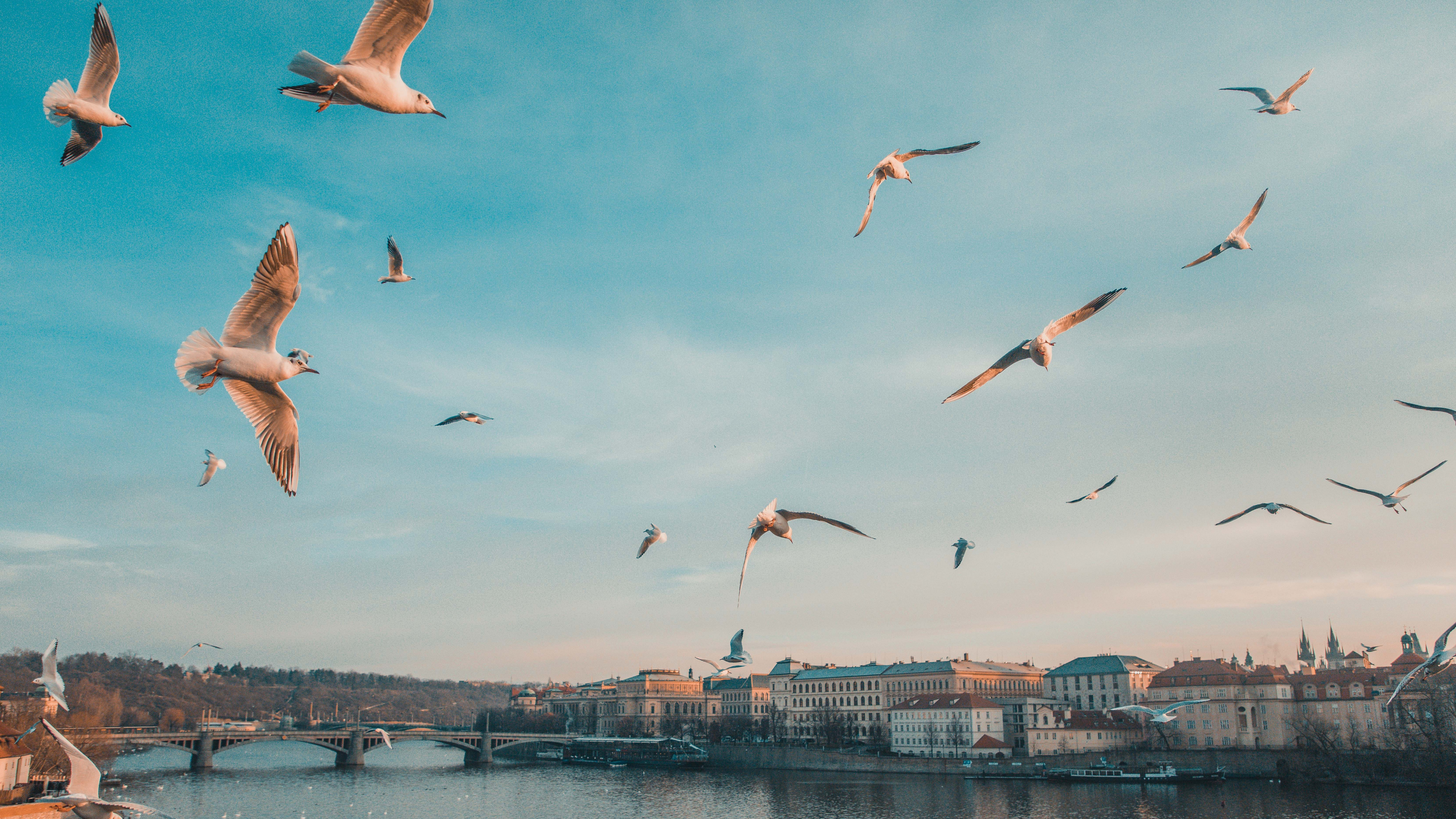 Charles Bridge, Prague Astronomical Clock, Four Seasons Hotel Prague, Prague Castle, Bridge. Wallpaper in 3840x2160 Resolution