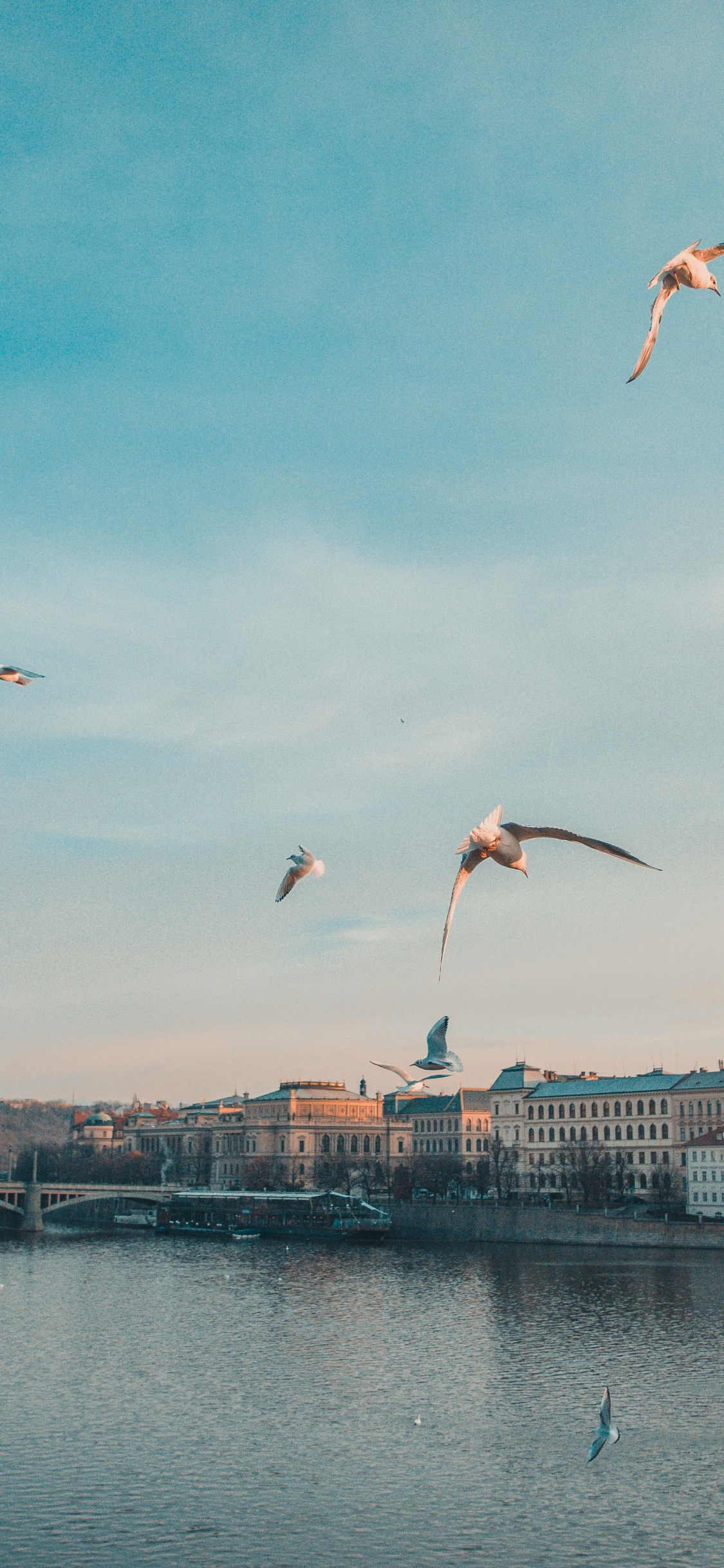 Karlsbrücke, Die Prager Astronomische Uhr, Four Seasons Hotel Prag, Die Prager Burg, Brücke. Wallpaper in 1125x2436 Resolution