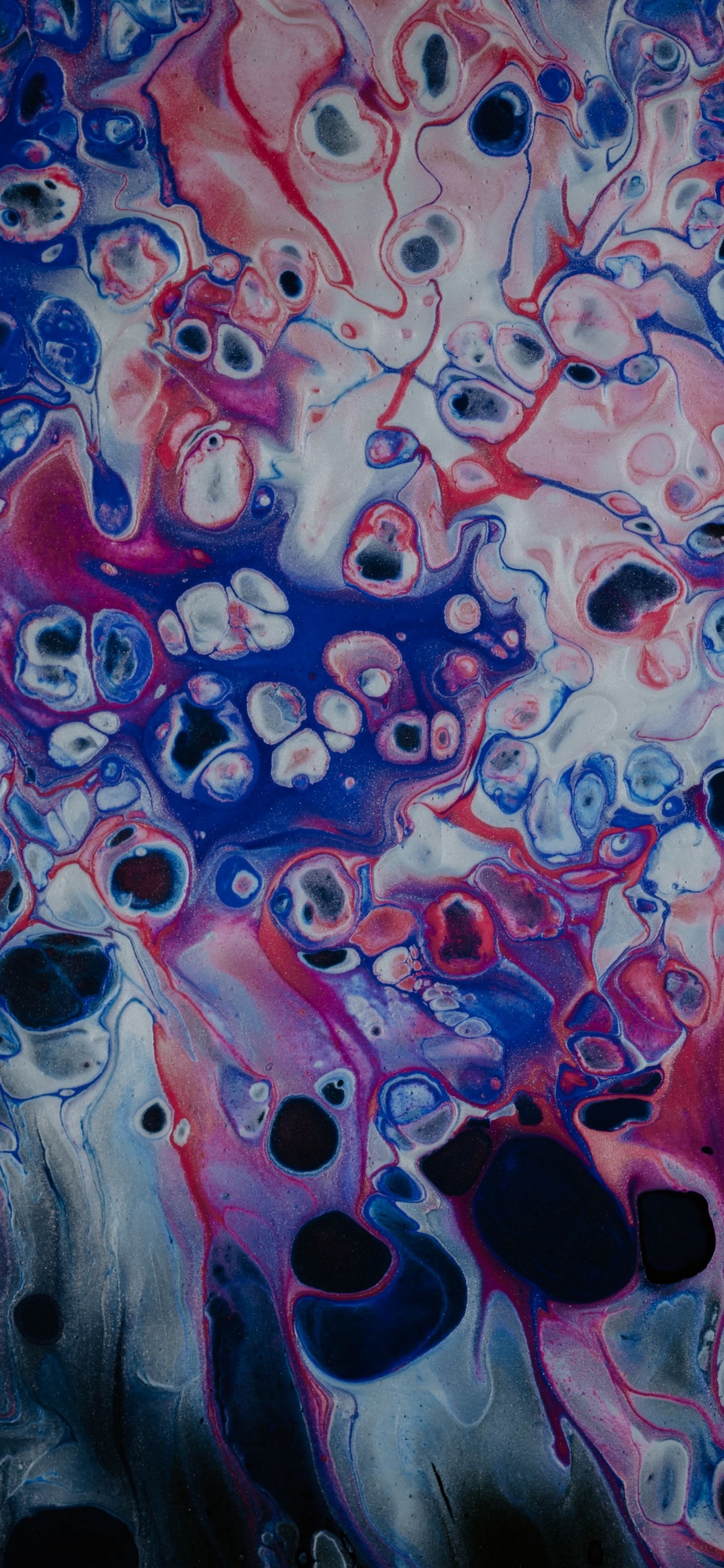 el Arte Abstracto, Arte, Delirio Ep, Qzb, Nautilus Tigra. Wallpaper in 1125x2436 Resolution