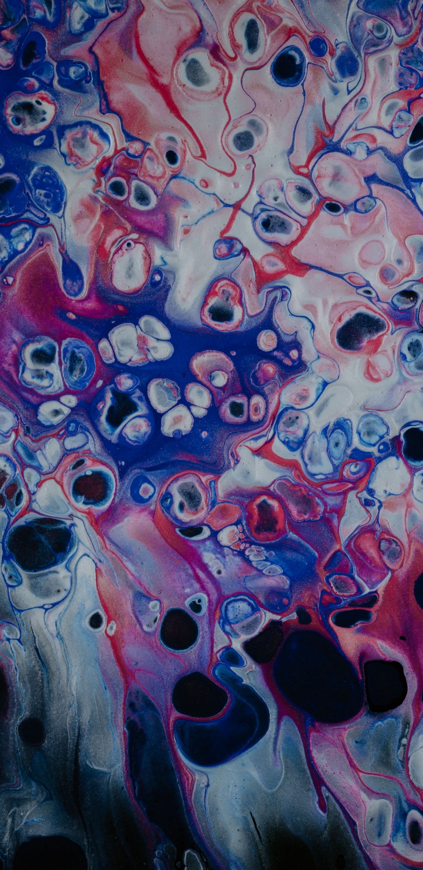 el Arte Abstracto, Arte, Delirio Ep, Qzb, Nautilus Tigra. Wallpaper in 1440x2960 Resolution