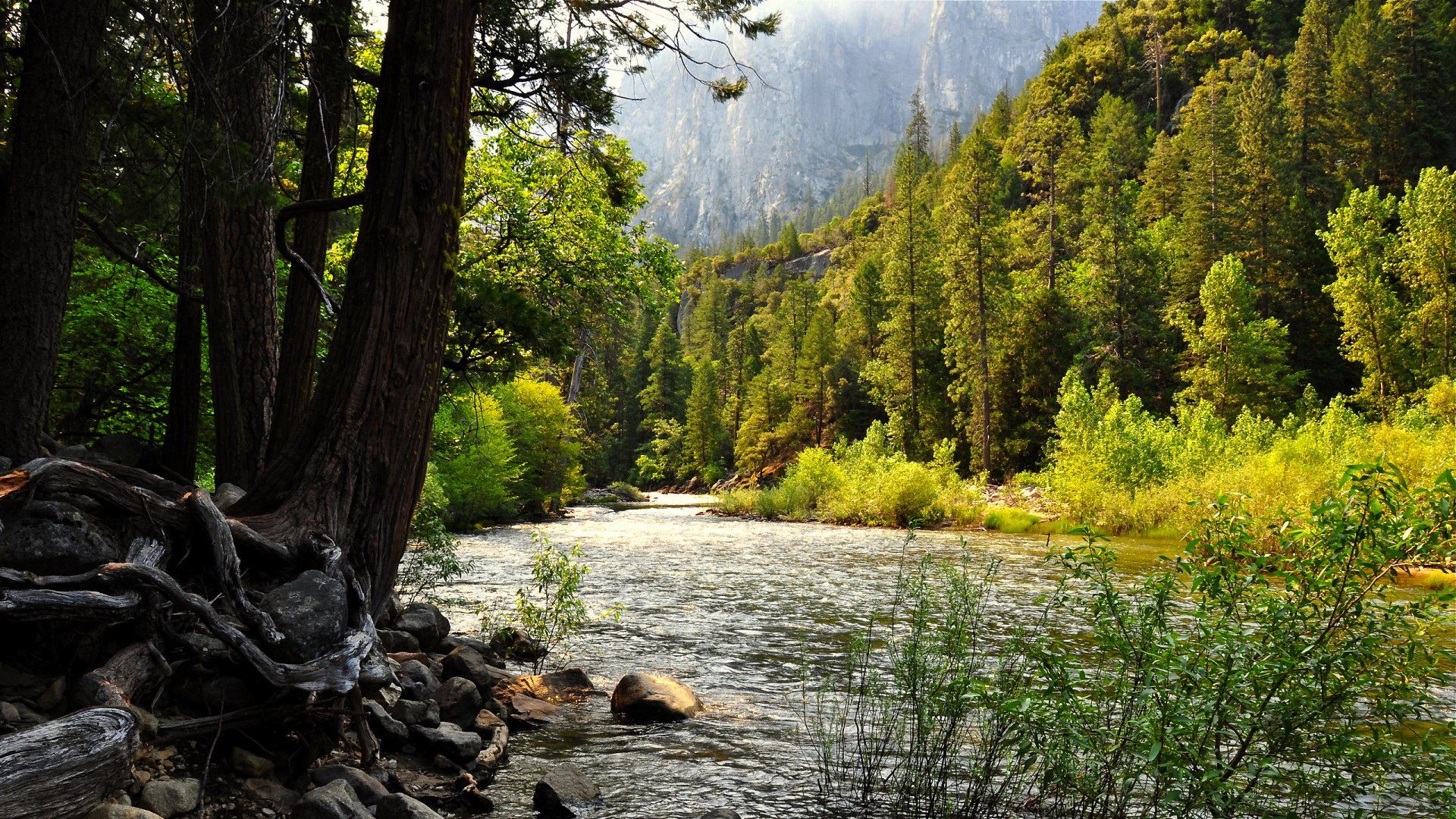 Green Trees Near Lake During Daytime. Wallpaper in 1920x1080 Resolution
