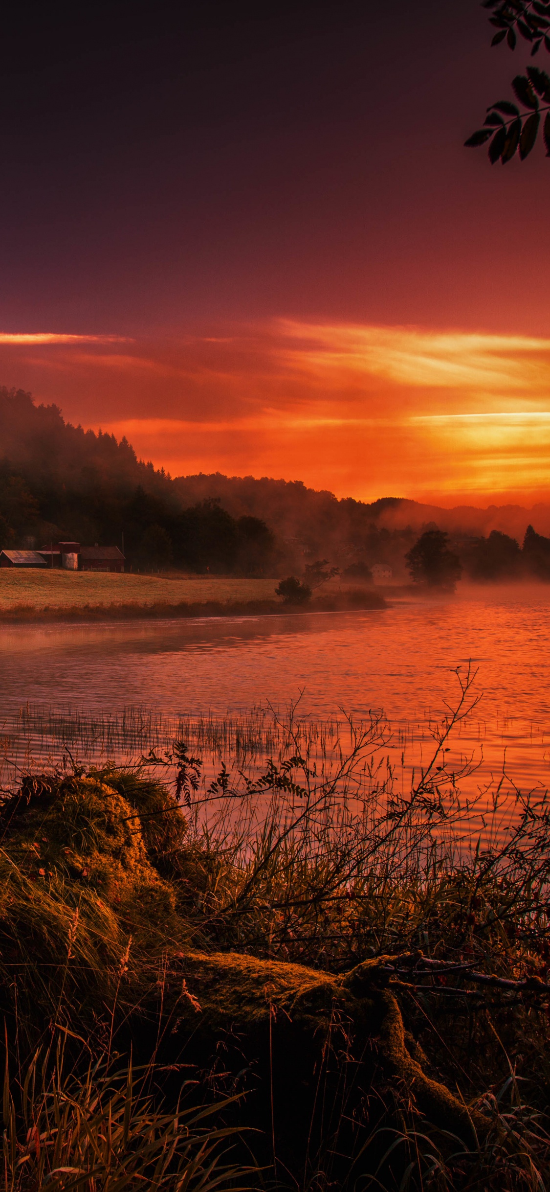 Gewässer in Der Nähe Von Bäumen Bei Sonnenuntergang. Wallpaper in 1125x2436 Resolution
