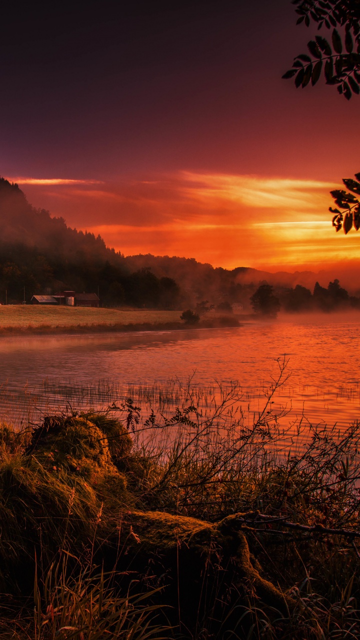 Body of Water Near Trees During Sunset. Wallpaper in 720x1280 Resolution