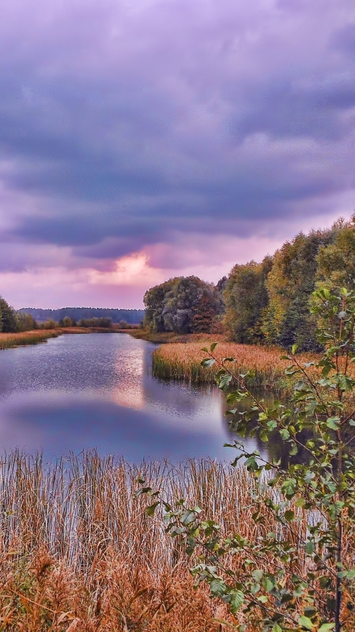 Green and Brown Grass Near Lake Under Cloudy Sky During Daytime. Wallpaper in 720x1280 Resolution