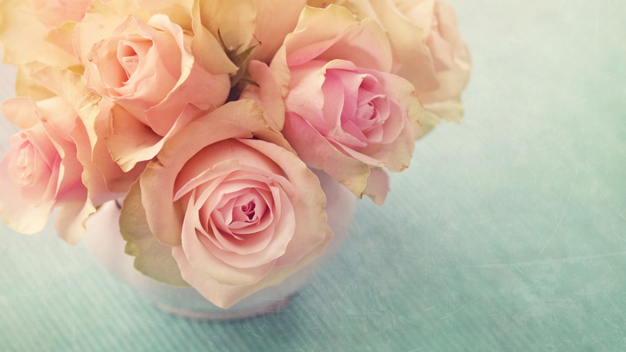 Roses Blanches et Roses Sur Textile Blanc. Wallpaper in 1280x720 Resolution