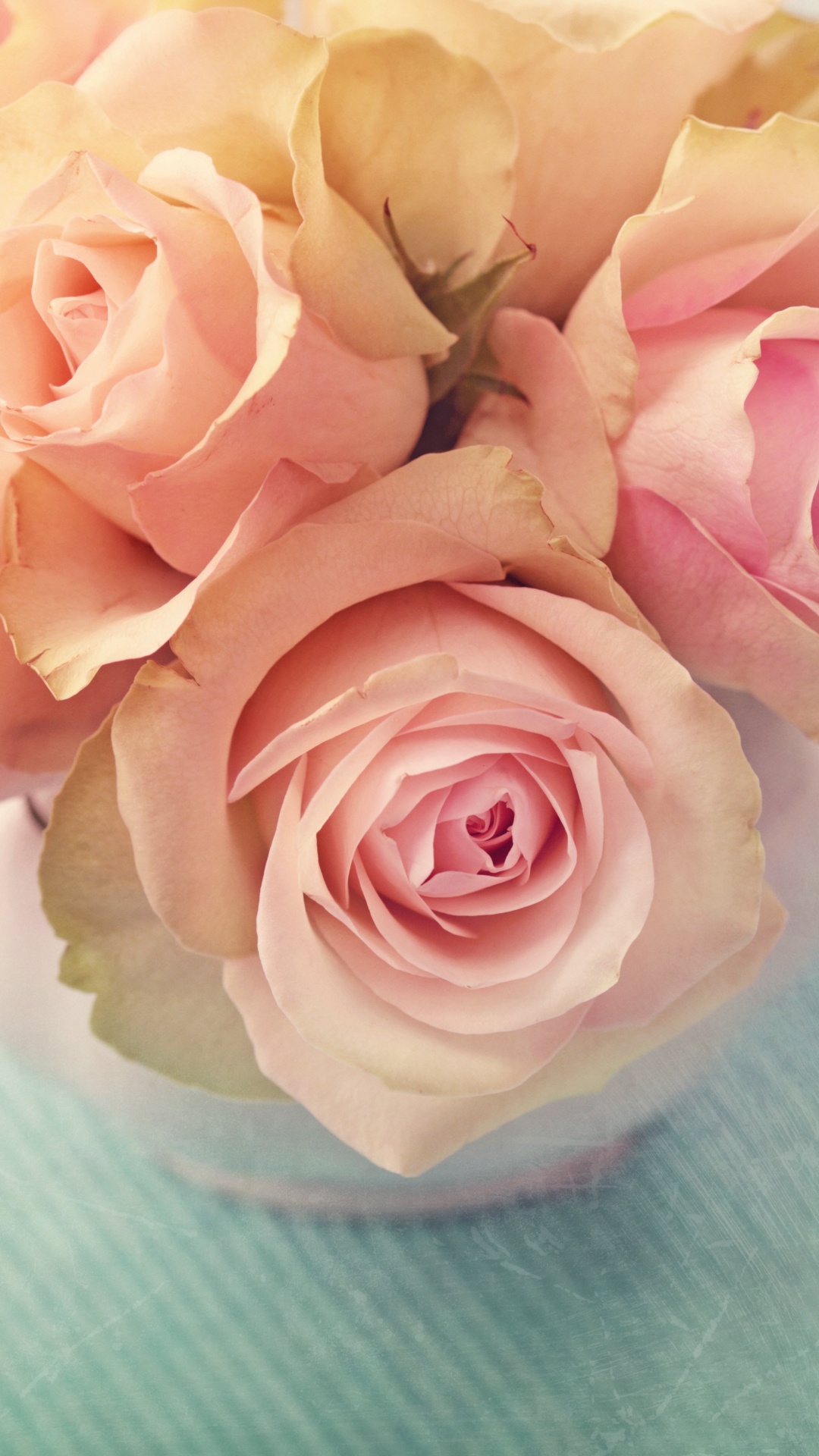 White and Pink Roses on White Textile. Wallpaper in 1080x1920 Resolution