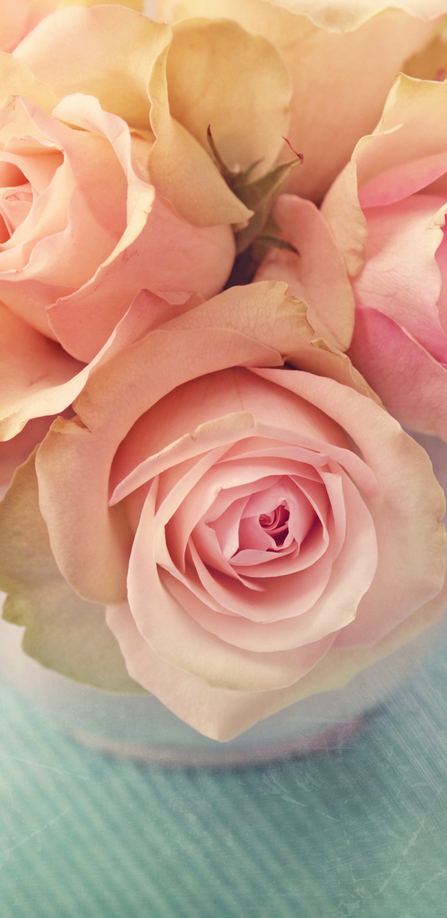 Weiße Und Rosa Rosen Auf Weißem Textil. Wallpaper in 1440x2960 Resolution