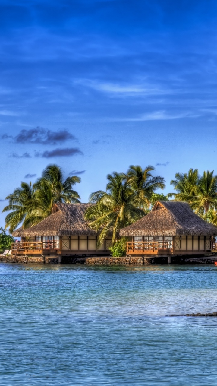 Brown Wooden House Near Body of Water During Daytime. Wallpaper in 720x1280 Resolution