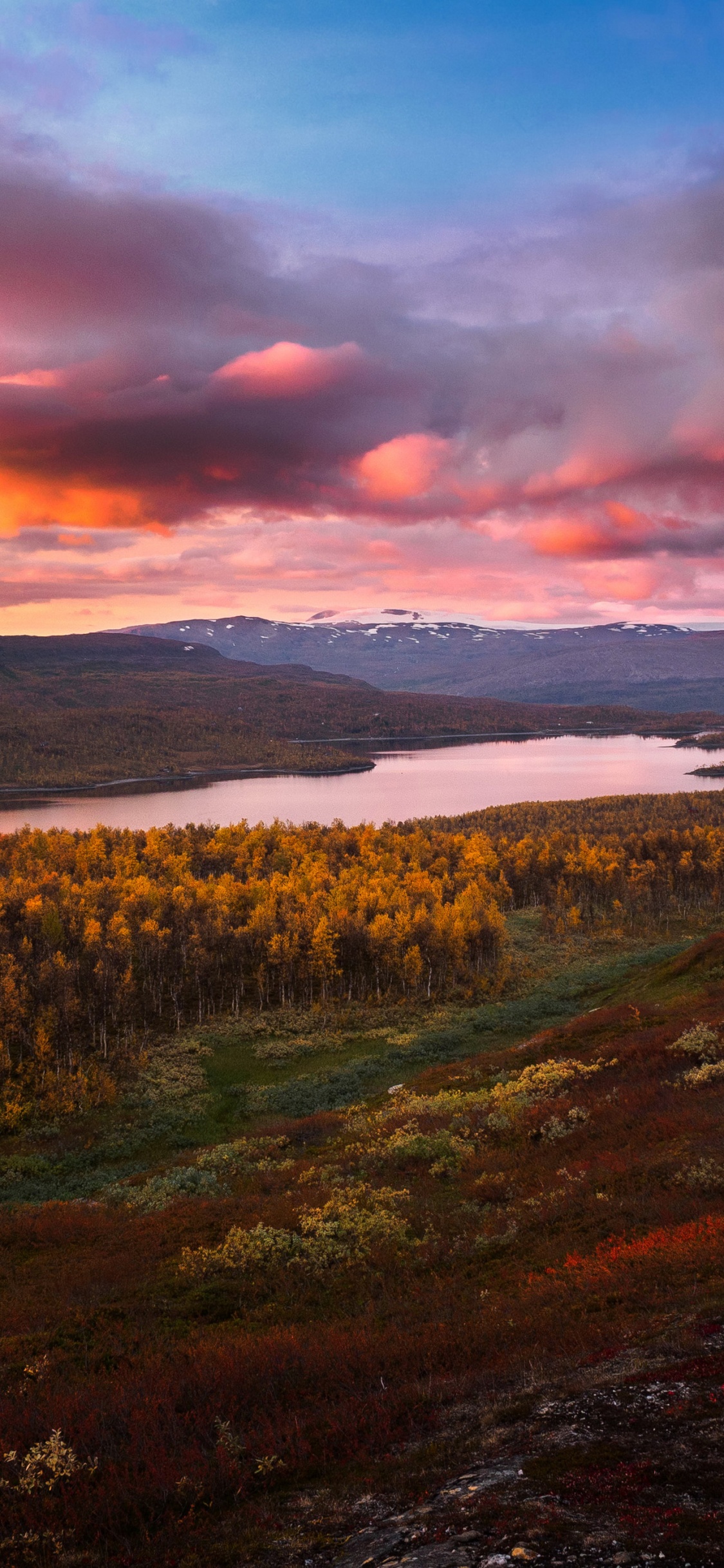 性质, 风景画, 自然景观, 余辉, 橙色 壁纸 1125x2436 允许