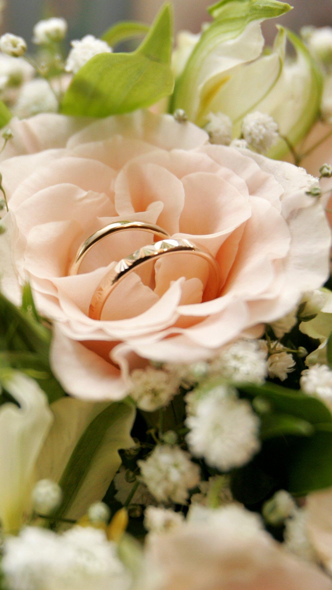 订婚戒指, 花安排, 花艺, 切花, 玫瑰花园 壁纸 1080x1920 允许