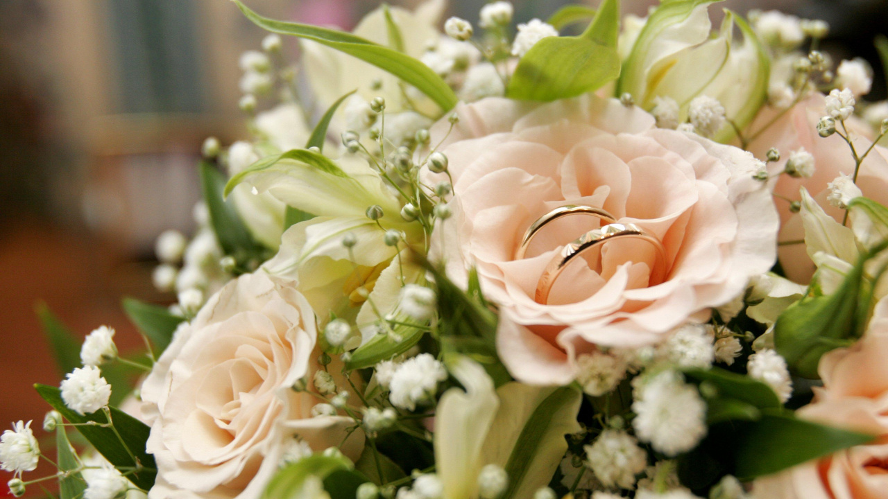 订婚戒指, 花安排, 花艺, 切花, 玫瑰花园 壁纸 1280x720 允许