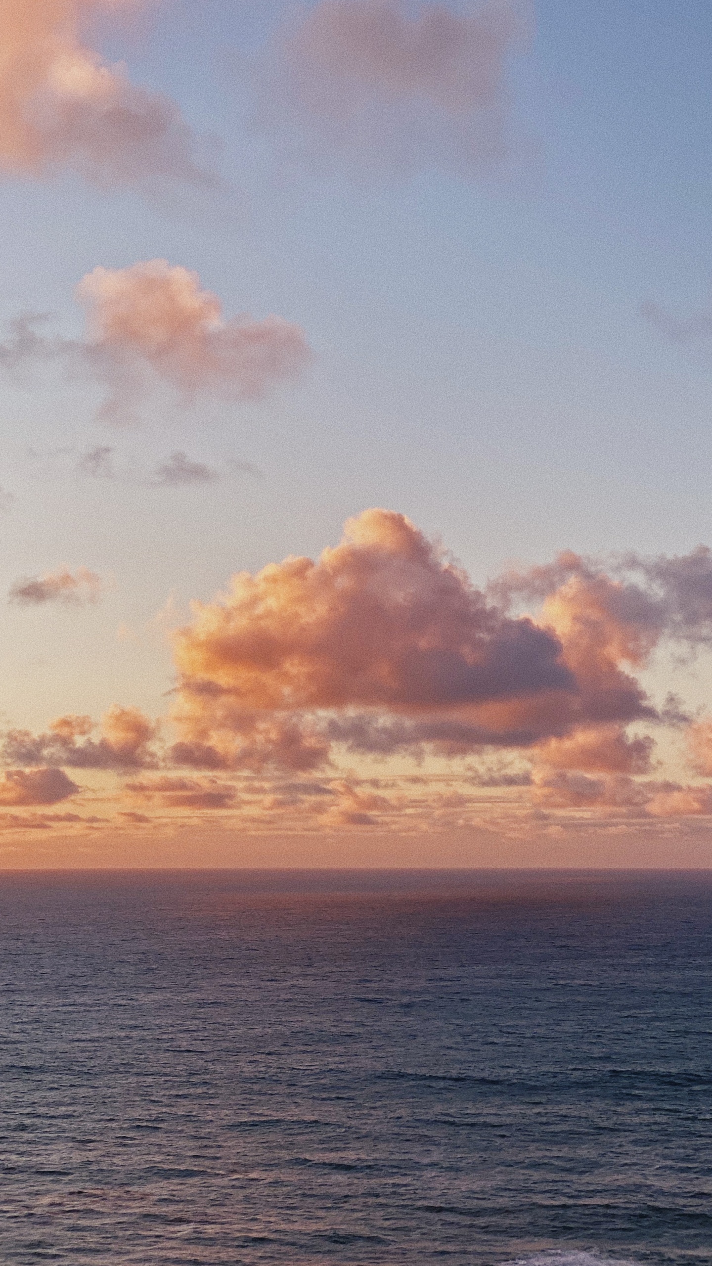 地平线, 大海, 海洋, 余辉, 日落 壁纸 1440x2560 允许