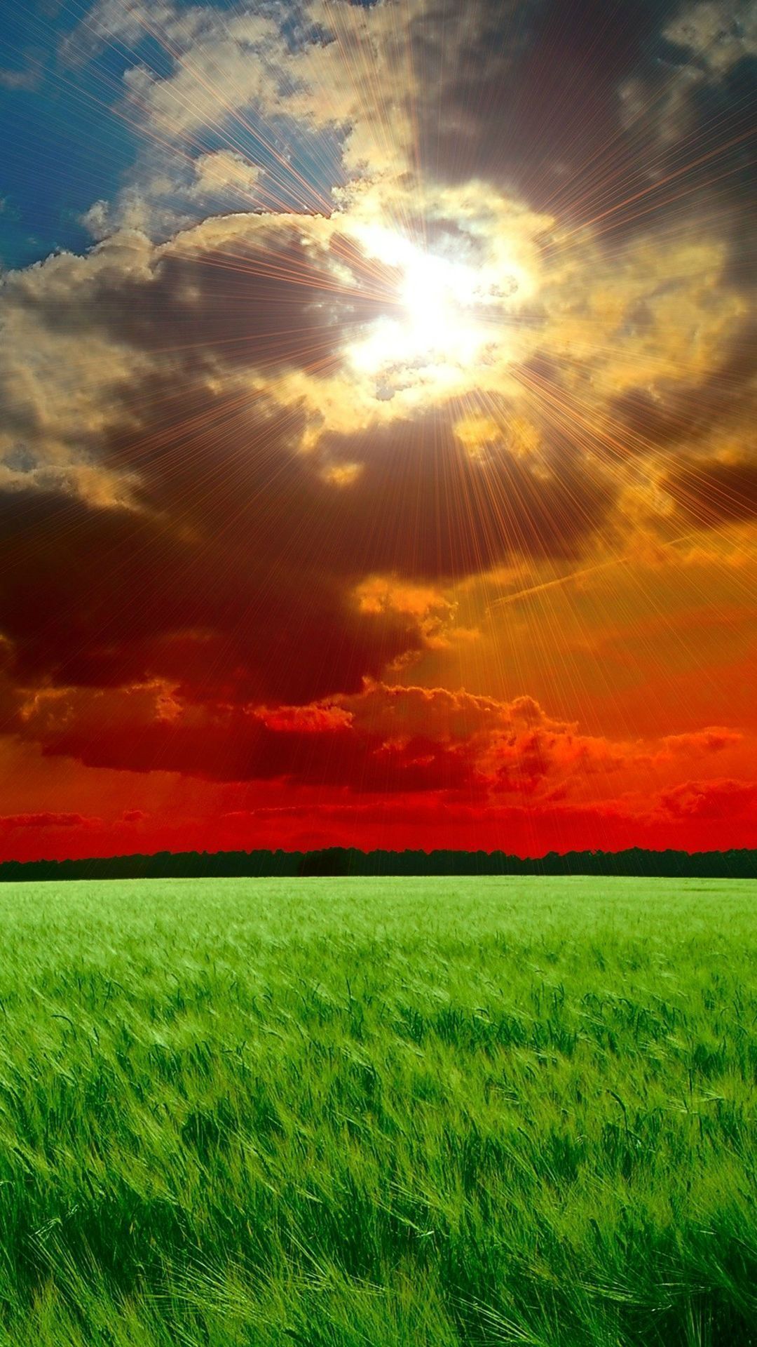 Portrait, Naturlandschaft, Feld, Natur, Grünland. Wallpaper in 1080x1920 Resolution