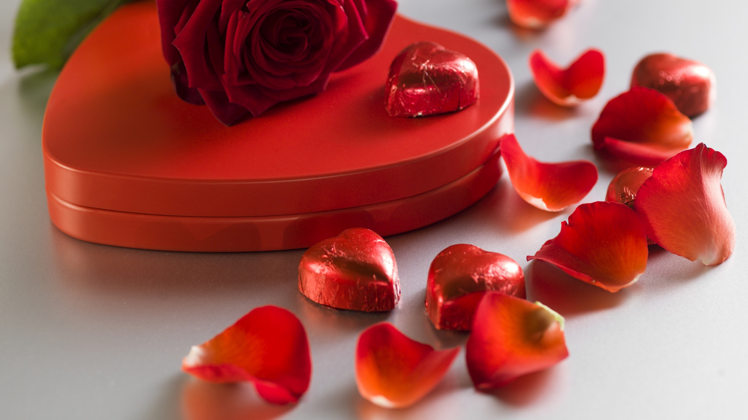 Rose, Heart, Petal, Flower, Valentines Day. Wallpaper in 2560x1440 Resolution