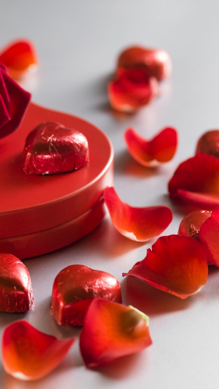 Rose, Heart, Petal, Flower, Valentines Day. Wallpaper in 720x1280 Resolution