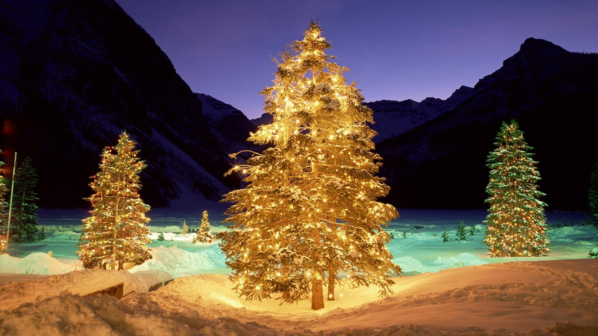 Christmas Tree, Christmas Lights, New Year, Tree, Nature. Wallpaper in 1920x1080 Resolution