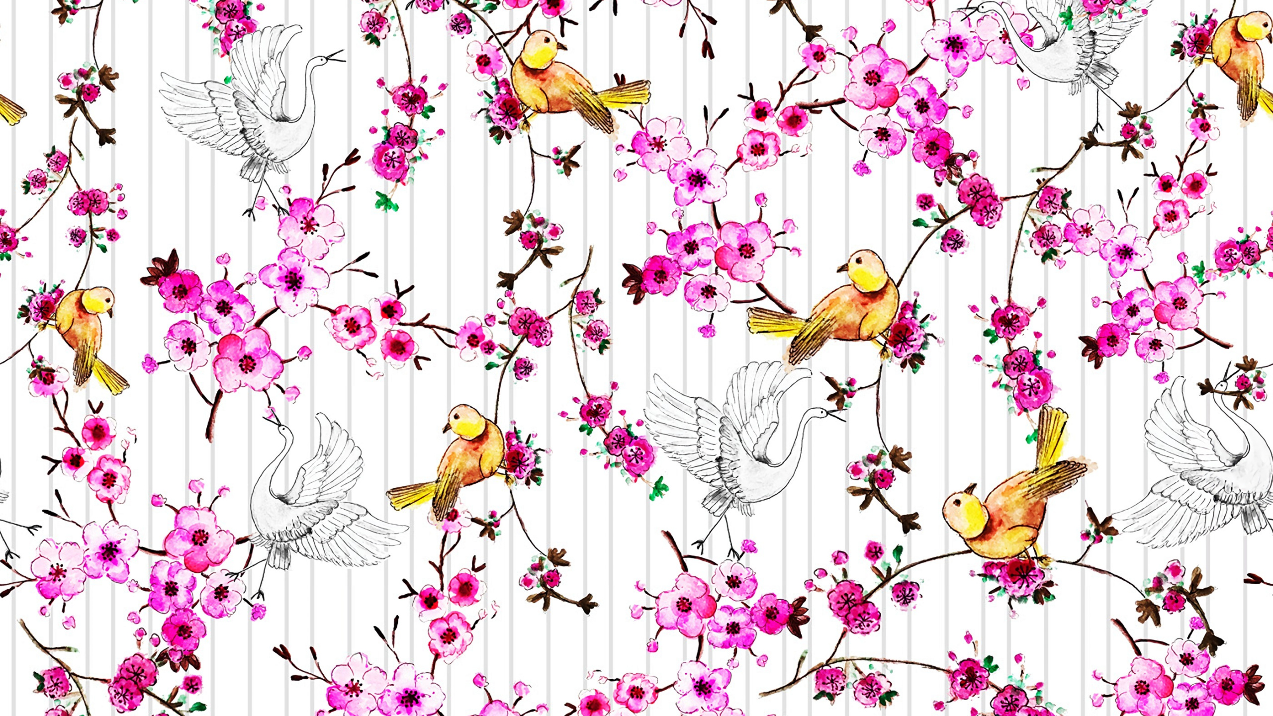 Design Floral, Conception, Pink, Ligne, Sauvages. Wallpaper in 2560x1440 Resolution