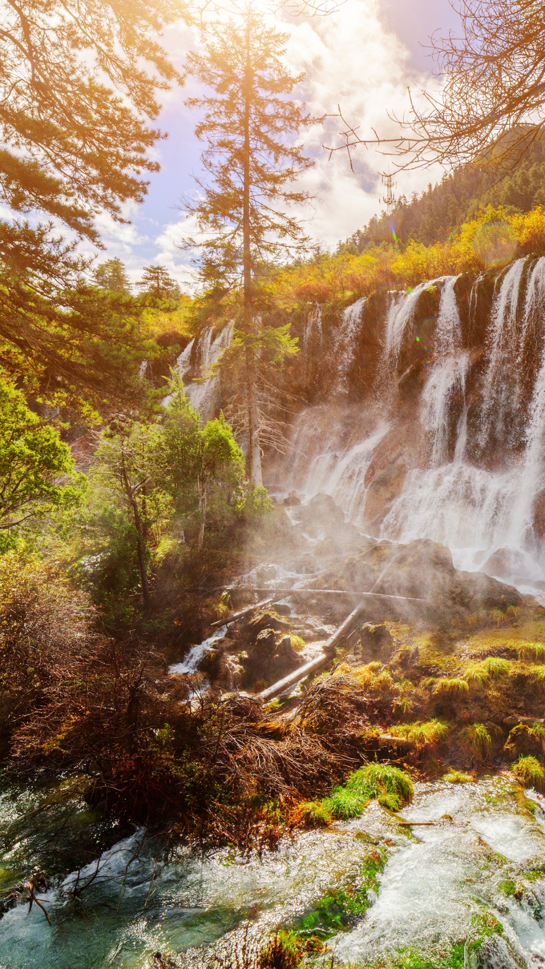 Cascades en Forêt Pendant la Journée. Wallpaper in 1080x1920 Resolution