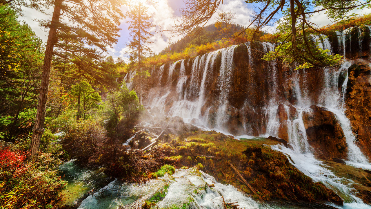 Cascades en Forêt Pendant la Journée. Wallpaper in 1280x720 Resolution