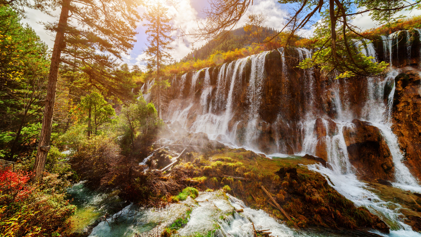 Cascades en Forêt Pendant la Journée. Wallpaper in 1366x768 Resolution