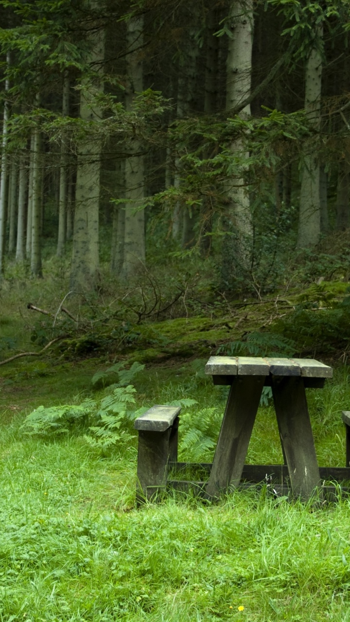 Gray Wooden Bench on Green Grass Field. Wallpaper in 720x1280 Resolution