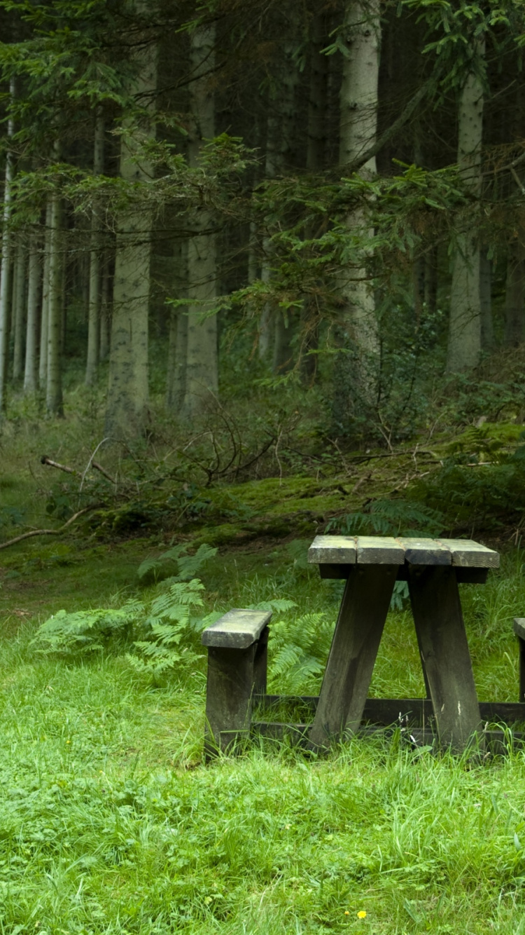 Gray Wooden Bench on Green Grass Field. Wallpaper in 750x1334 Resolution