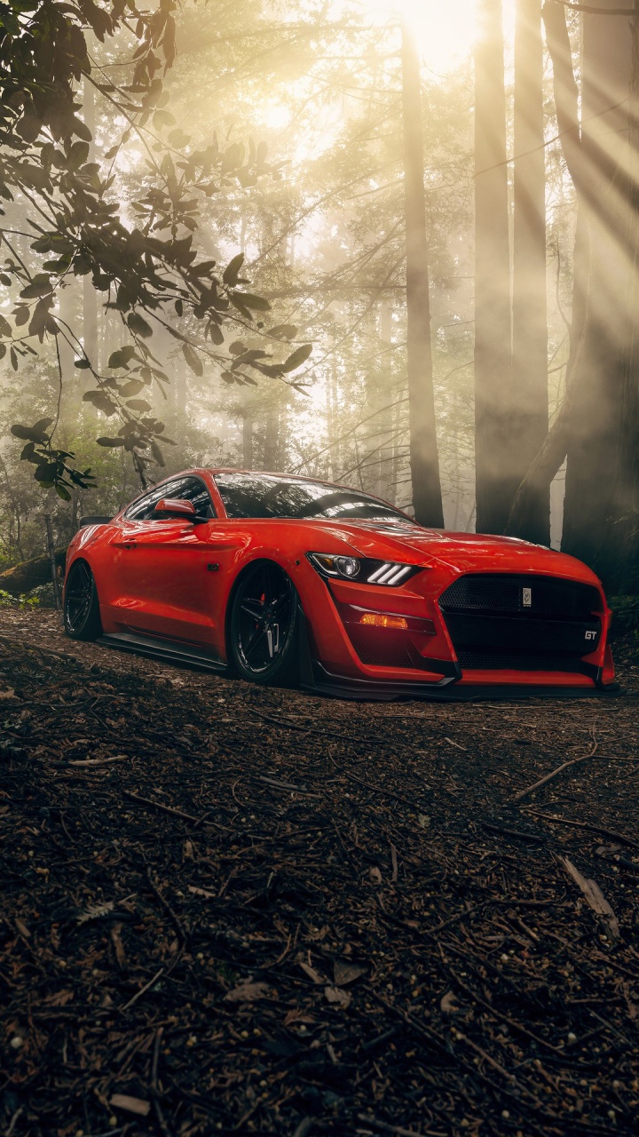 Luxusauto, Ford Mustang Mach e, Car, Ford, Shelby Mustang. Wallpaper in 720x1280 Resolution