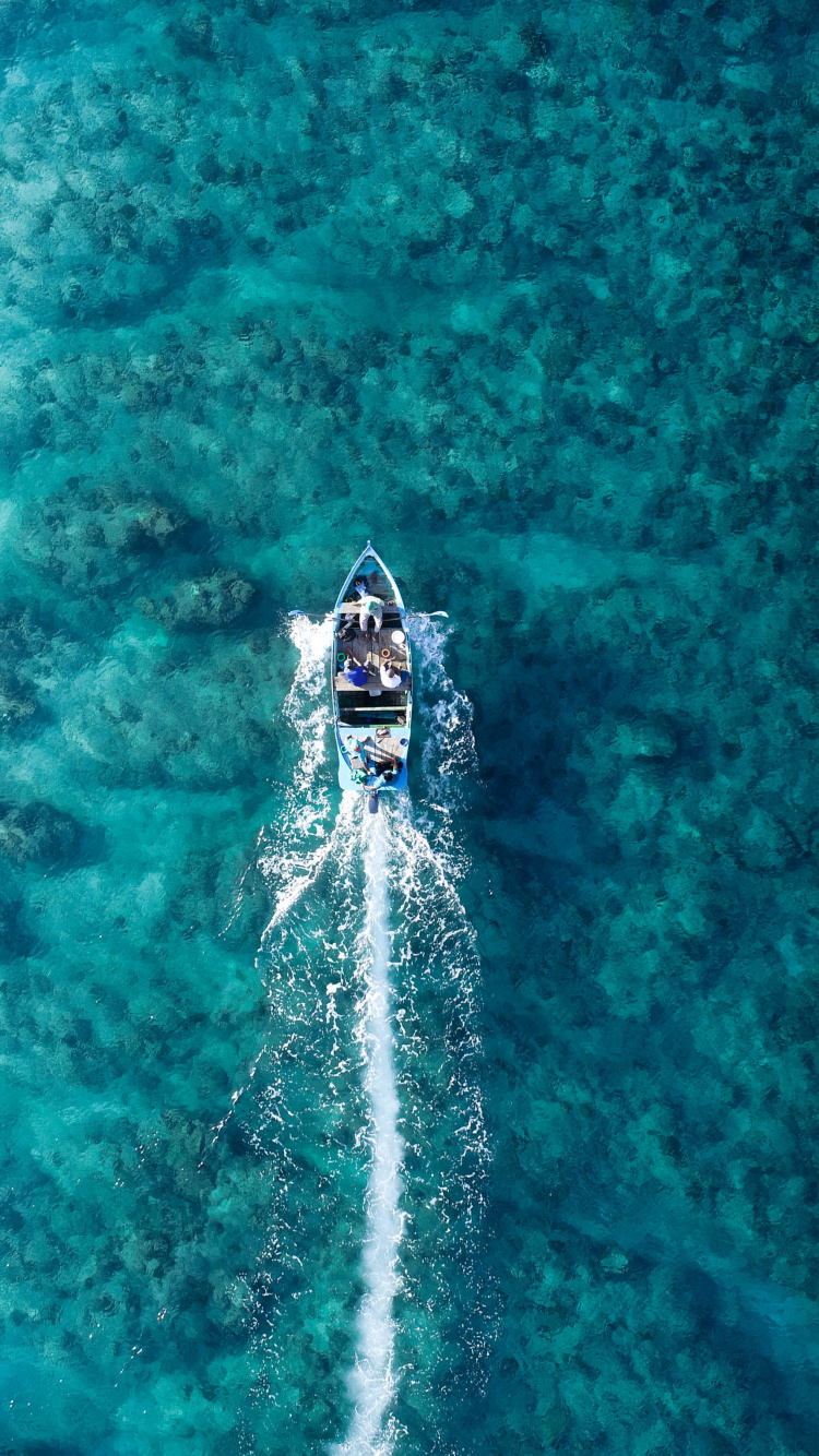 Sea, Ocean, Beach, Water, Liquid. Wallpaper in 750x1334 Resolution