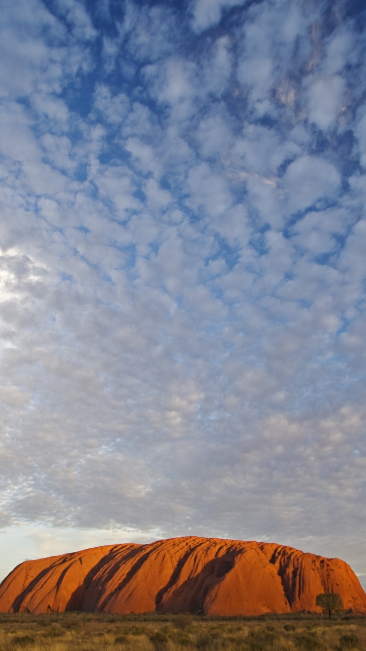 乌鲁鲁, 艾尔斯岩机场, 地平线, 早餐, 冷静 壁纸 720x1280 允许