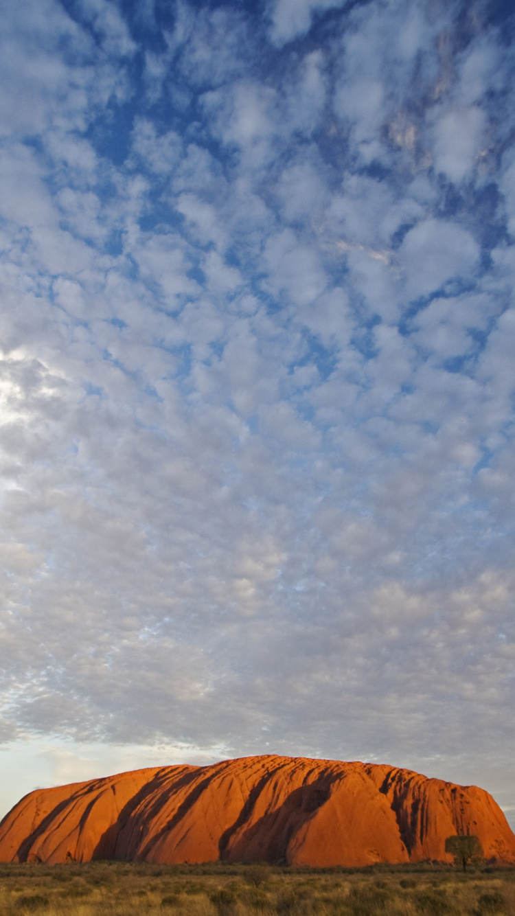 乌鲁鲁, 艾尔斯岩机场, 地平线, 早餐, 冷静 壁纸 750x1334 允许