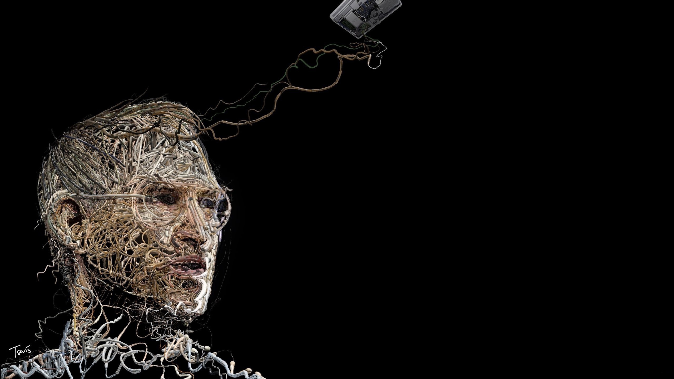 Humanos, Manzana, Steve Jobs, Apple, el Vello Facial. Wallpaper in 2560x1440 Resolution