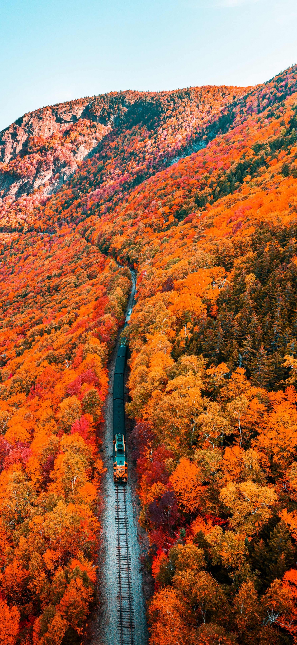 Natur, Herbst, Naturlandschaft, Vegetation, Biome. Wallpaper in 1125x2436 Resolution