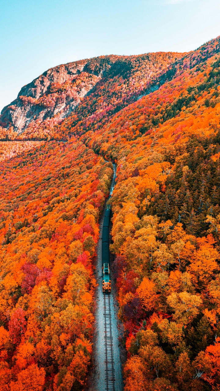 Natur, Herbst, Naturlandschaft, Vegetation, Biome. Wallpaper in 720x1280 Resolution