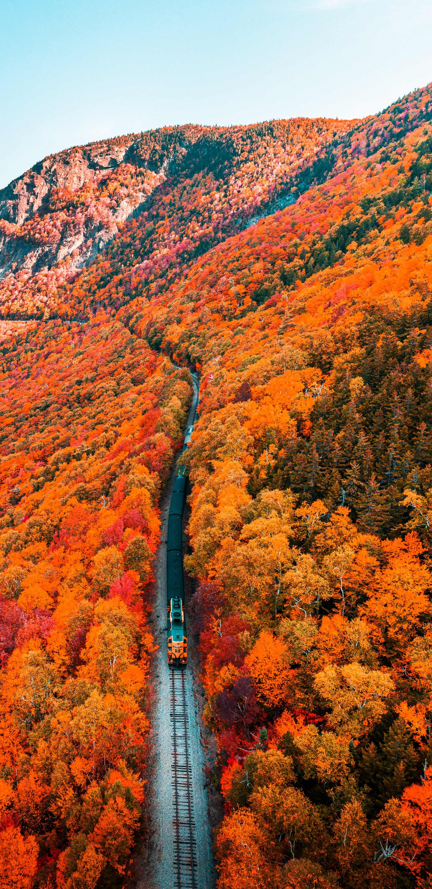 Naturaleza, Montaña, Paisaje Natural, la Vegetación, Bioma. Wallpaper in 1440x2960 Resolution