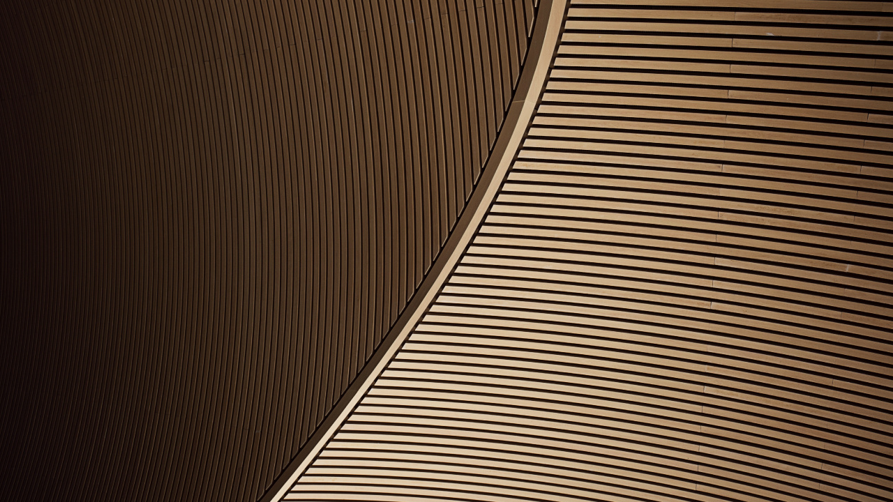 木, 光, 采光 壁纸 1280x720 允许