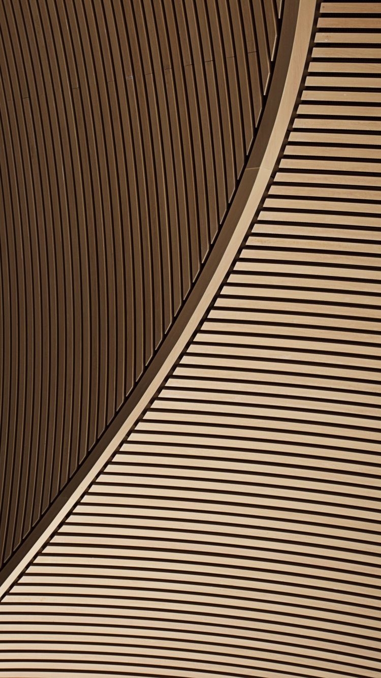 木, 光, 采光 壁纸 750x1334 允许