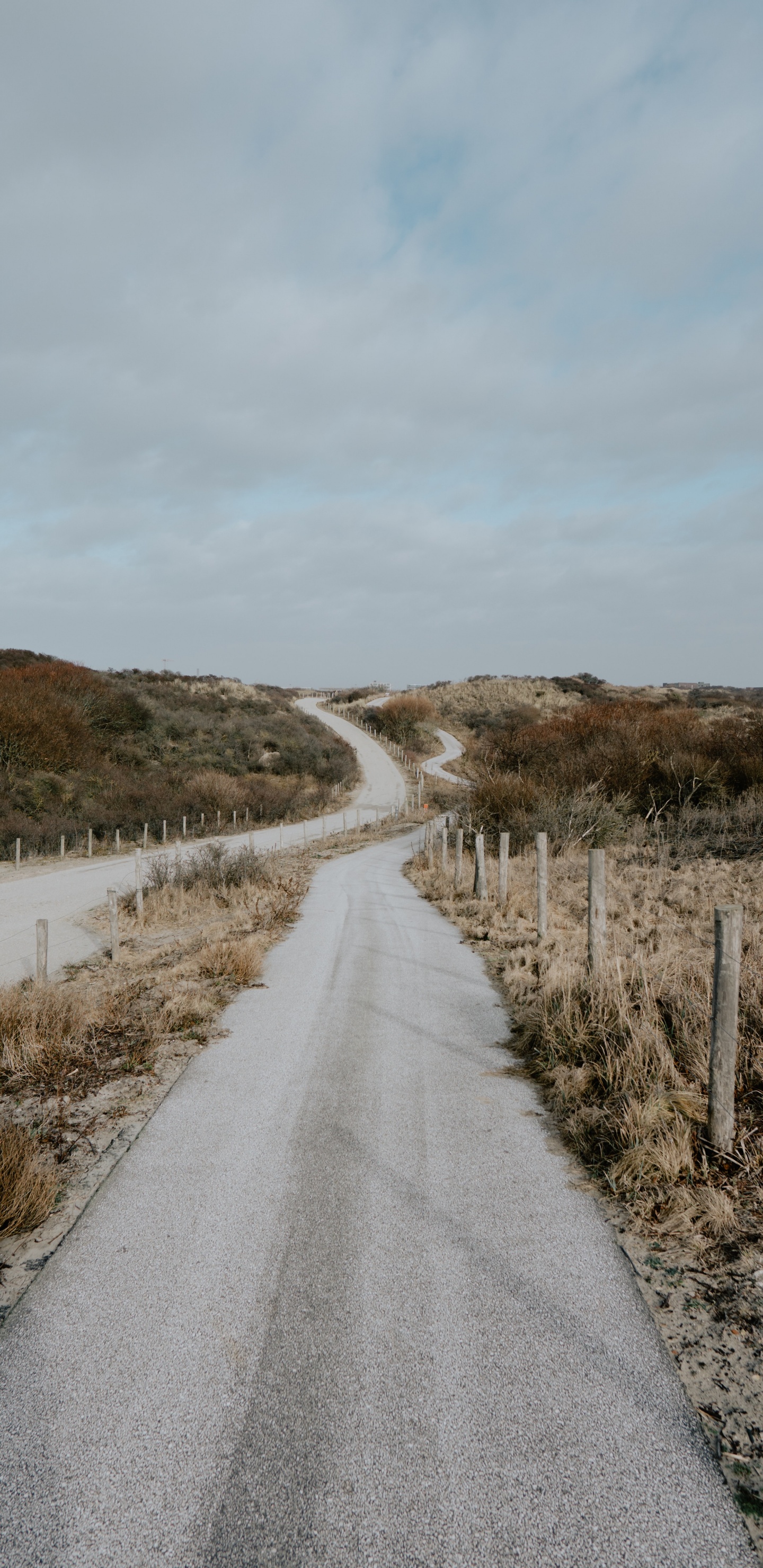 高地, 基础设施, 通道, 车道, 生态区 壁纸 1440x2960 允许