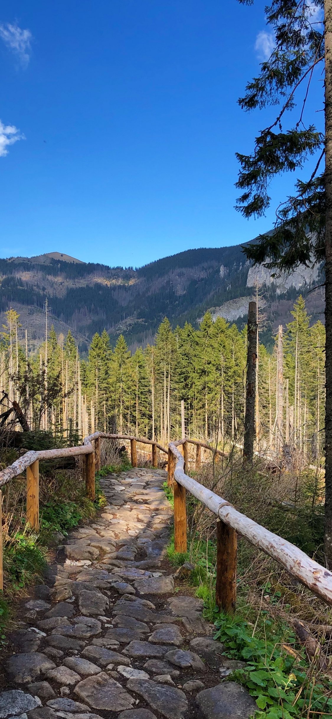 Wilderness, Mount Scenery, Mountain Range, Real Estate, Science. Wallpaper in 1125x2436 Resolution