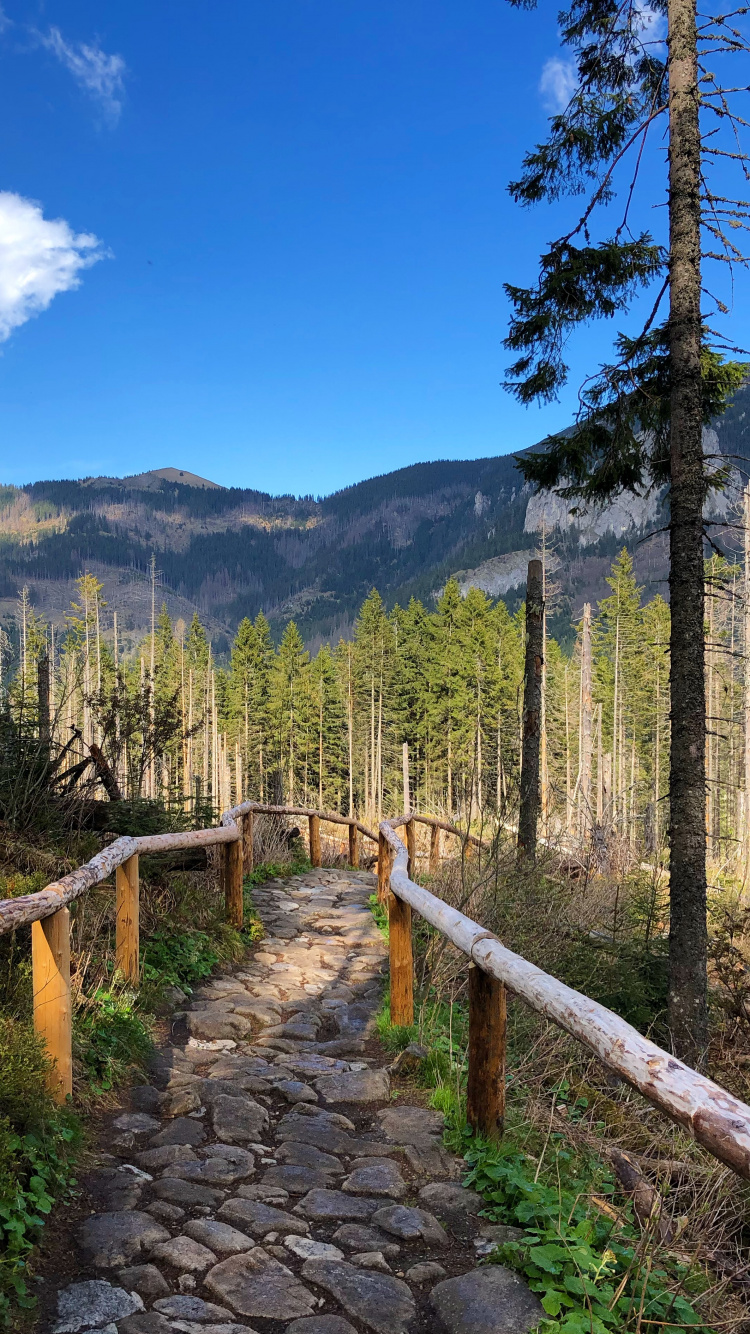 Wilderness, Mount Scenery, Mountain Range, Real Estate, Science. Wallpaper in 750x1334 Resolution