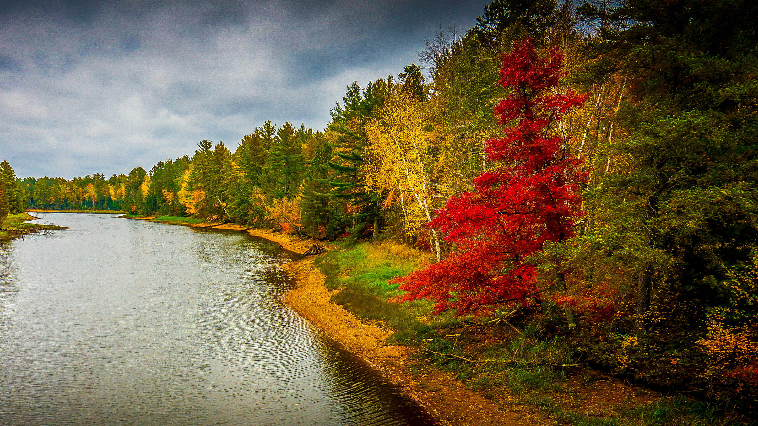 Arbres Verts et Jaunes à Côté de la Rivière Sous un Ciel Bleu Pendant la Journée. Wallpaper in 2560x1440 Resolution