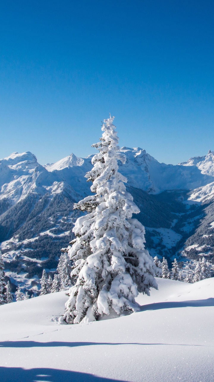 Snow Covered Mountain Under Blue Sky During Daytime. Wallpaper in 720x1280 Resolution