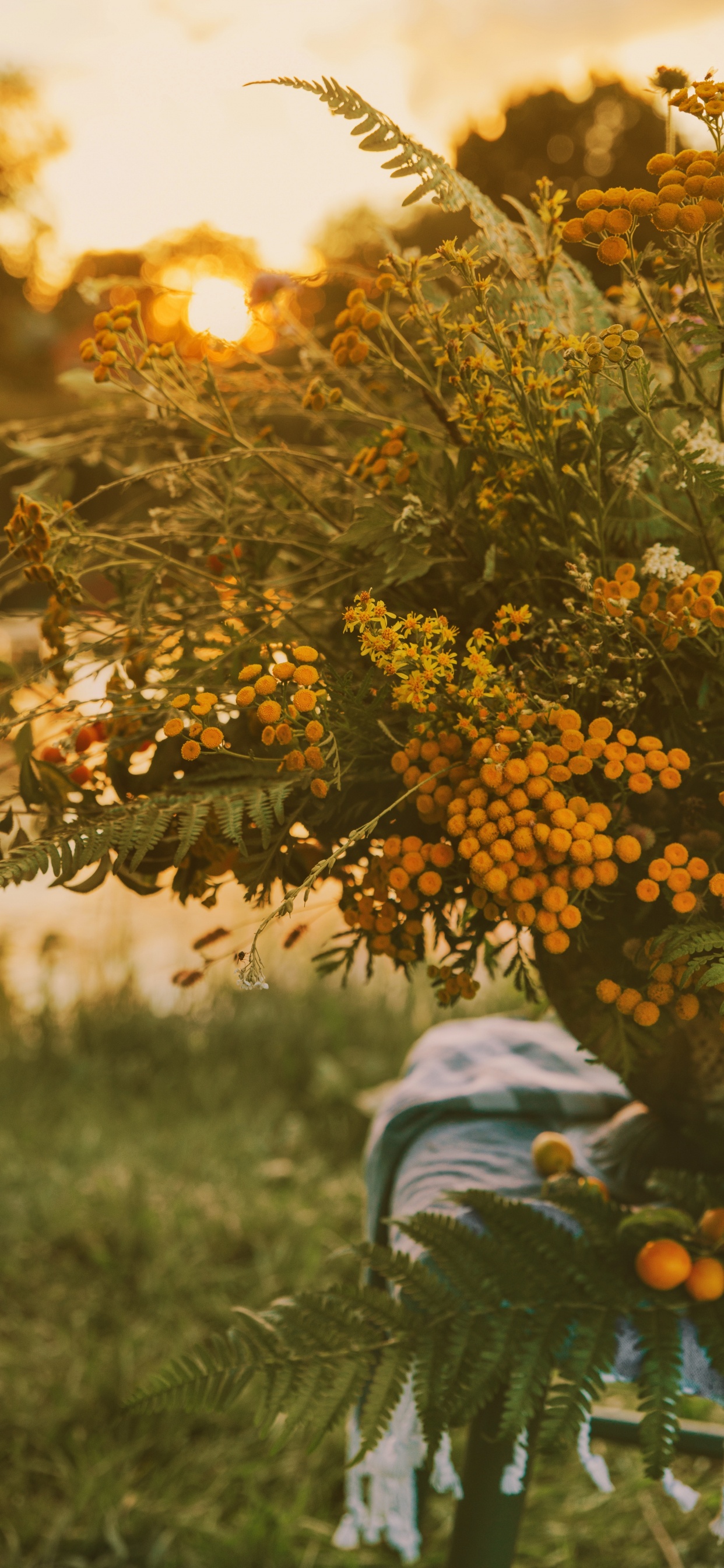 Yellow and Green Plant on Green Grass During Daytime. Wallpaper in 1242x2688 Resolution